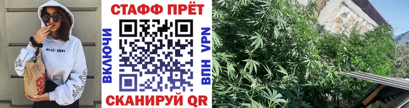 Наркошоп купить Метадон  Alpha-PVP  Гашиш  Амфетамин  Меф мяу мяу  Конопля  Беслан