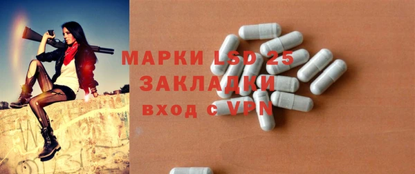индика Аркадак