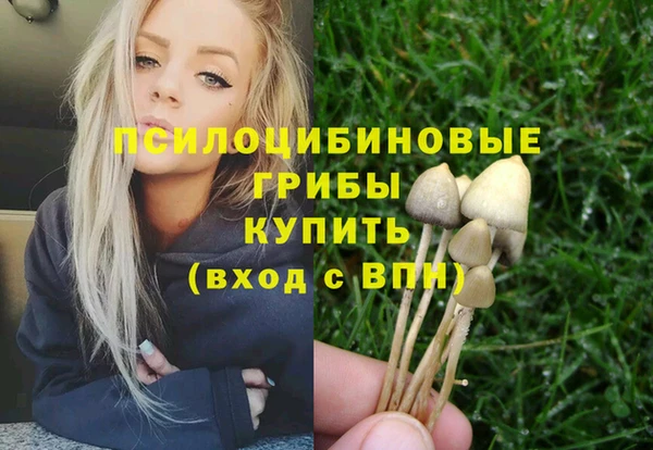 прущая мука Алзамай