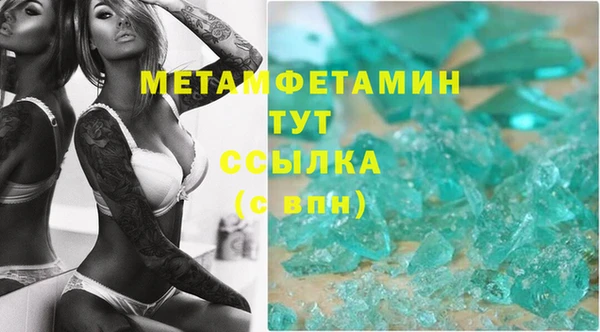 индика Аркадак
