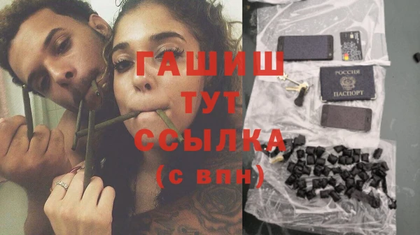 индика Аркадак