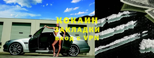 индика Аркадак