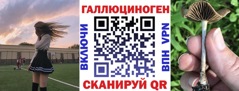 Галлюциногенные грибы Magic Shrooms  Купить закладки  Беслан 
